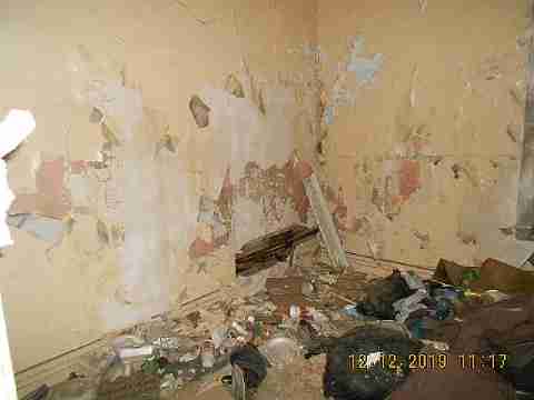 5529 Joy 2nd trip (25)_m.jpg